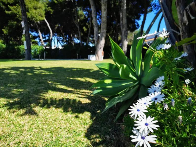 ¡Nuevo! Zona Tranquila Cerca De La Playa De La Carihuela Appartement Torremolinos Buitenkant foto